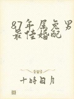 87年属兔男的最佳婚配