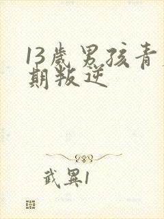 13岁男孩青春期叛逆