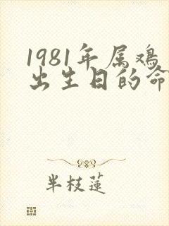 1981年属鸡出生日的命运