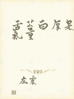 舌苔白厚是有湿气重