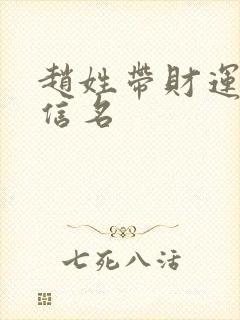 赵姓带财运的微信名