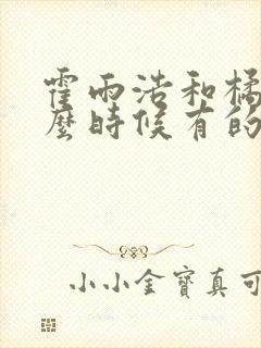 霍雨浩和橘子什么时候有的孩子第几章