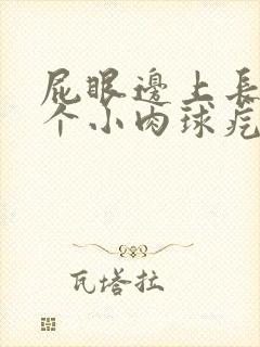 屁眼边上长了一个小肉球疙瘩