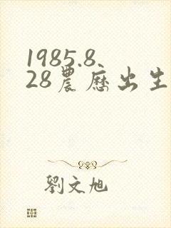1985.8.28农历出生的人命运