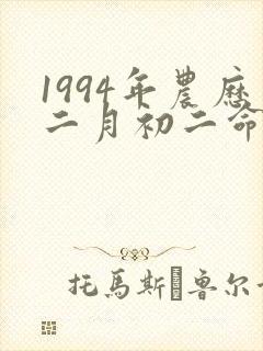 1994年农历二月初二命