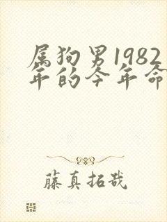 属狗男1982年的今年命运
