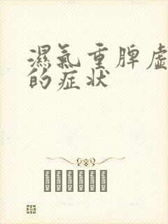 湿气重脾虚气虚的症状