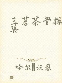 玉茗茶骨总共几集