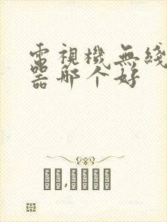 电视机无线接收器哪个好