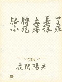 胳膊上长了好多小疙瘩很痒封面