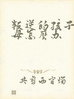 叛逆的孩子打父母怎么办封面