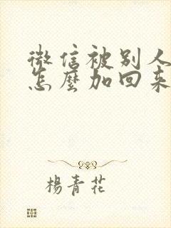 微信被别人拉黑怎么加回来