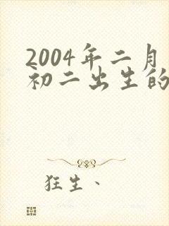 2004年二月初二出生的人是什么命?