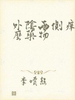 外阴两侧痒用什么药物