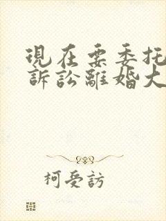 现在要委托律师诉讼离婚大概需要多少钱