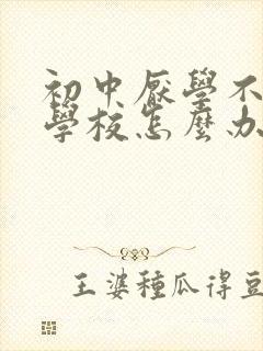 初中厌学不肯去学校怎么办呢封面