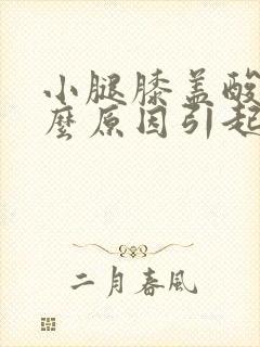 小腿膝盖酸痛什么原因引起的