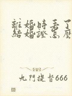 离婚时丢了一个结婚证怎么办封面