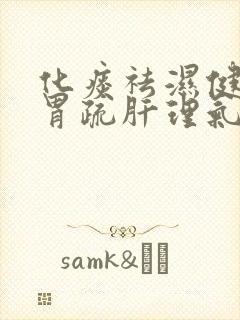 化痰祛湿健脾和胃疏肝理气