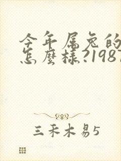 今年属兔的运气怎么样?1987年的?