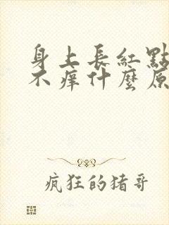 身上长红点不痛不痒什么原因图片