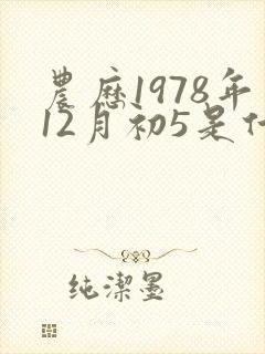 农历1978年12月初5是什么命封面