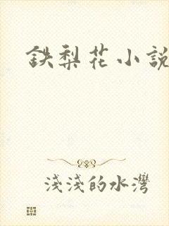 铁梨花小说