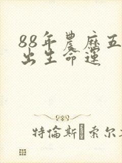 88年农历五月出生命运