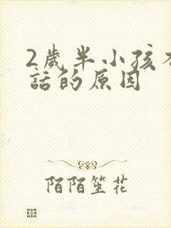 2岁半小孩不说话的原因