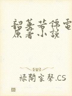 韶华若锦电视剧原著小说封面