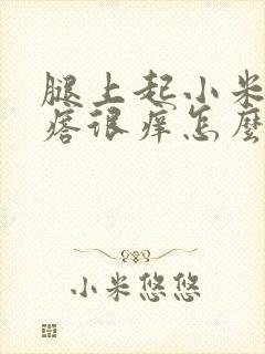 腿上起小米粒疙瘩很痒怎么回事封面