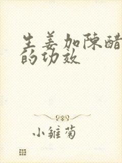 生姜加陈醋洗头的功效