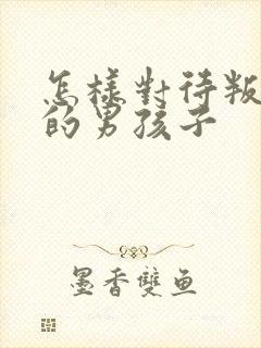 怎样对待叛逆期的男孩子封面