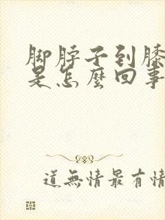 脚脖子到膝盖疼是怎么回事