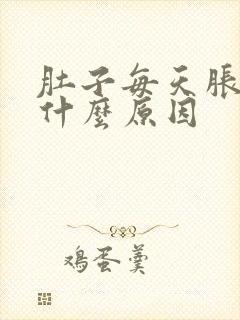 肚子每天胀气是什么原因