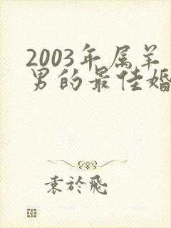 2003年属羊男的最佳婚配