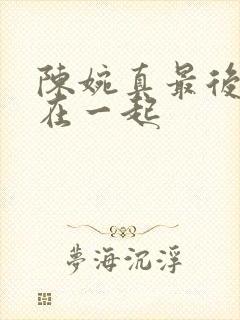 陈婉真最后和谁在一起