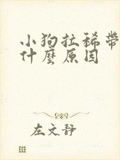 小狗拉稀带血是什么原因