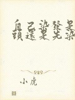 自己染发是先洗头还是先染发