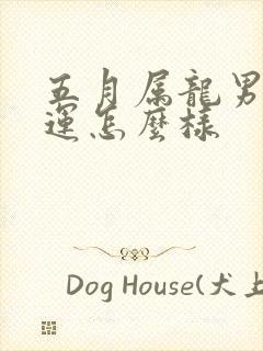 五月属龙男的命运怎么样