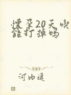 怀孕20天吃药能打掉吗封面