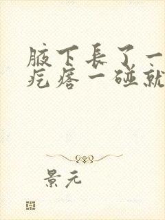 腋下长了一个硬疙瘩一碰就疼