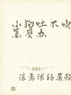 小狗吐不吃东西怎么办