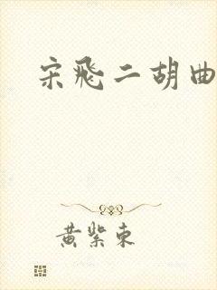 宋飞二胡曲赞歌