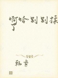 啊哈别别揉那处了封面