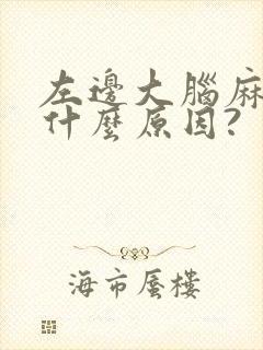 左边大脑麻木是什么原因?