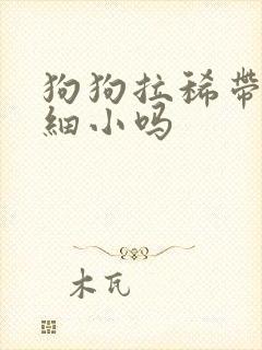 狗狗拉稀带血是细小吗