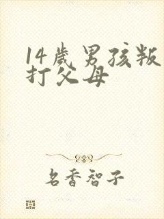 14岁男孩叛逆打父母