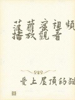 菠萝蜜视频在线播放观看