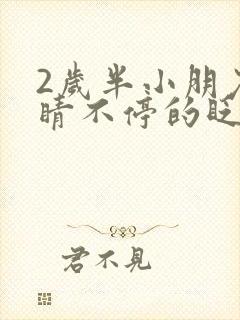 2岁半小朋友眼睛不停的眨